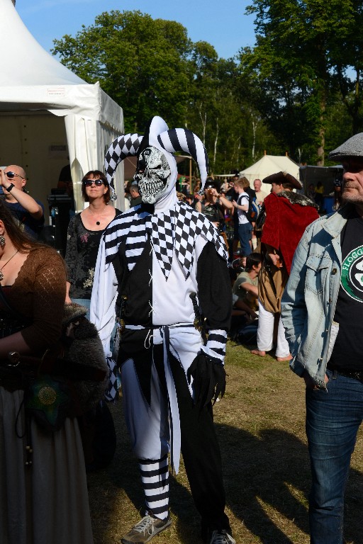 ../Images/Zaterdag Castlefest 2015 255.jpg